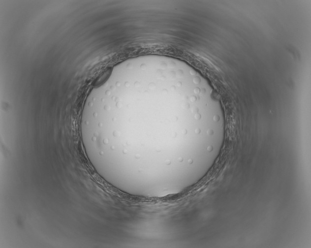 X0000090960917200708021118