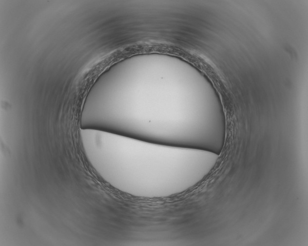 X0000090960919200708021118