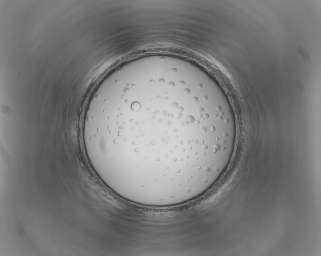 X0000090960921200708021118