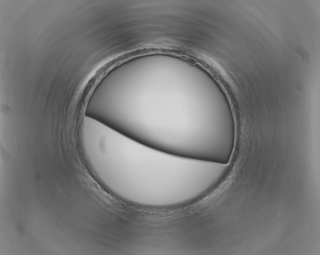 X0000090960923200708021118