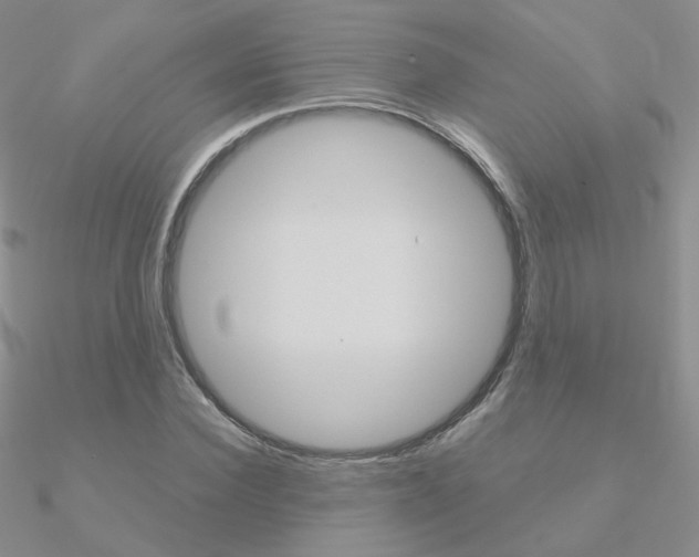 X0000090960924200708021118