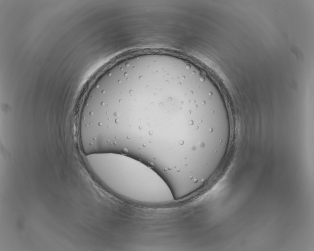 X0000090960925200708021118