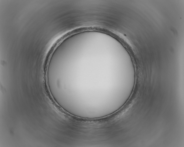 X0000090960927200708021118