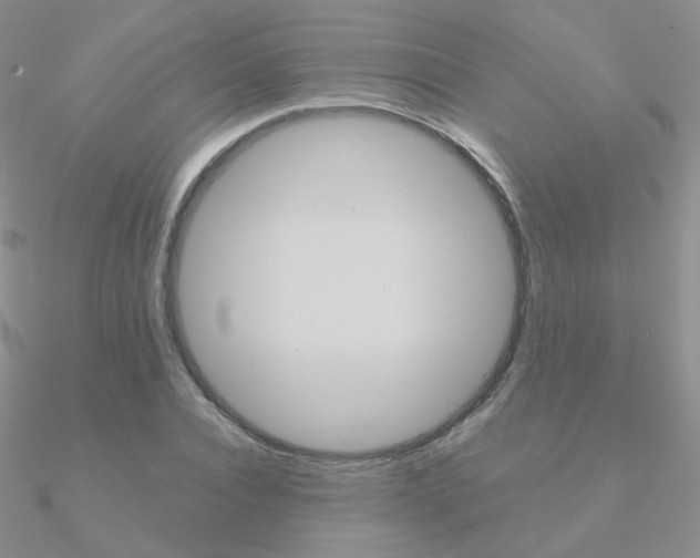X0000090960928200708021118