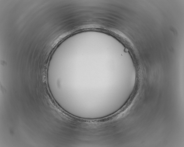 X0000090960929200708021118
