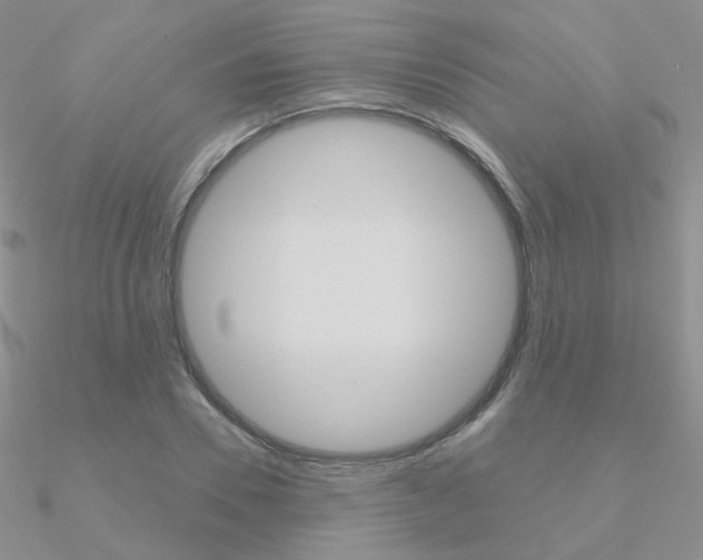 X0000090960930200708021118