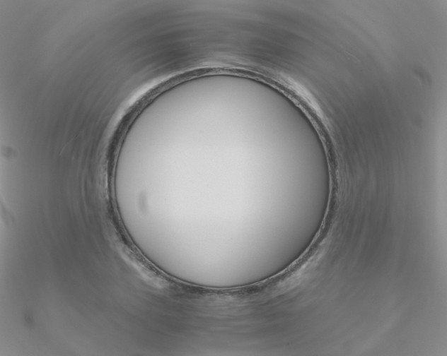 X0000090960931200708021118