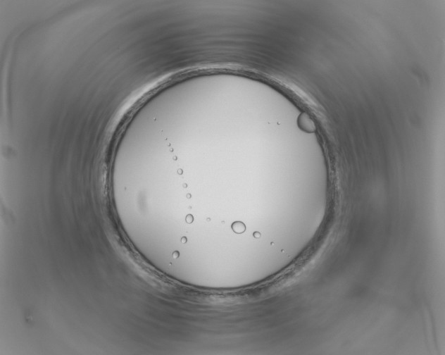 X0000090960933200708021118