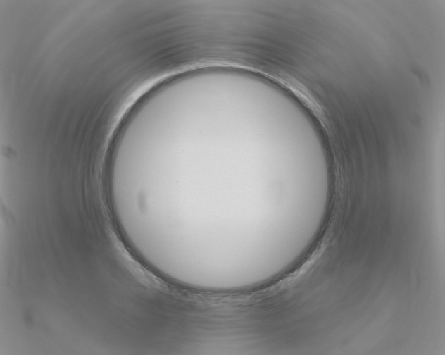 X0000090960934200708021119