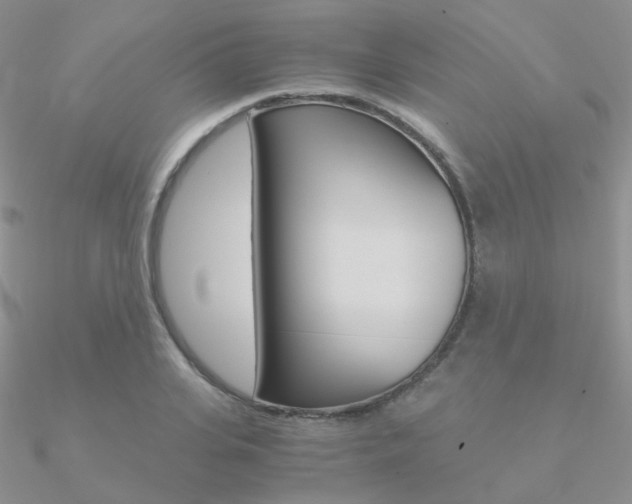 X0000090960935200708021119
