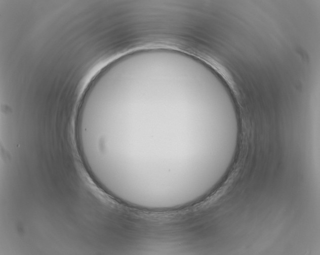 X0000090960936200708021119