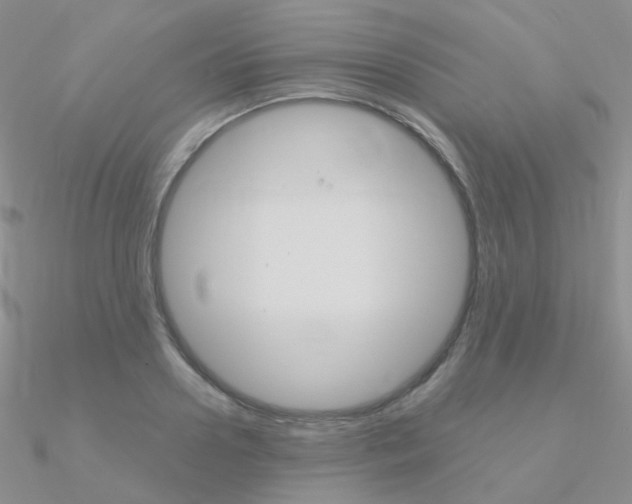 X0000090960938200708021119