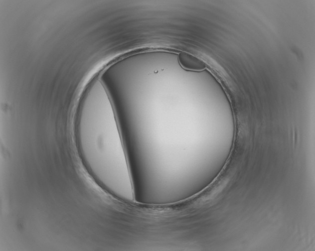 X0000090960939200708021119