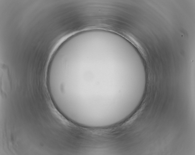 X0000090960940200708021119