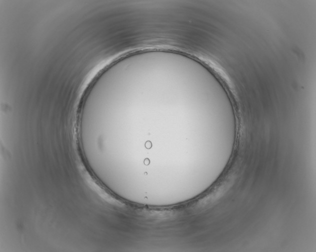 X0000090960941200708021119