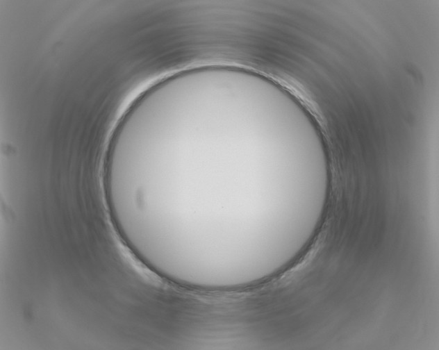 X0000090960942200708021119