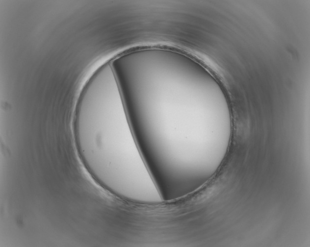 X0000090960943200708021119