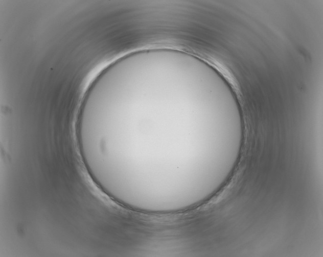 X0000090960944200708021119