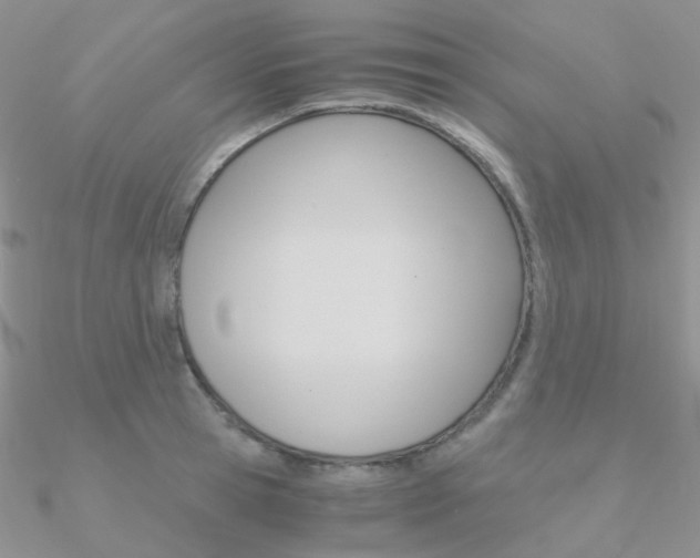 X0000090960945200708021119