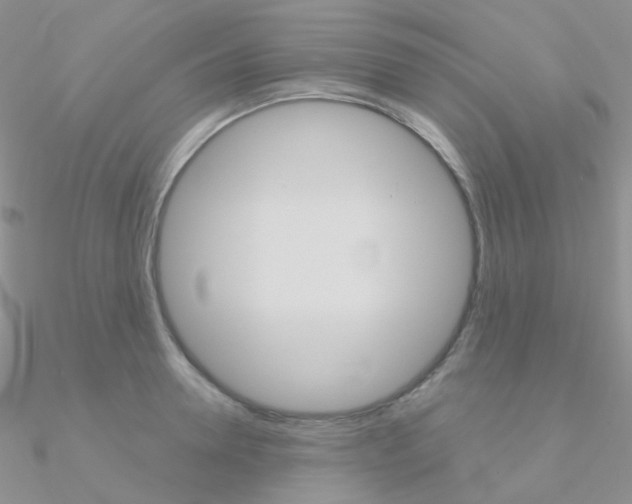 X0000090960946200708021119