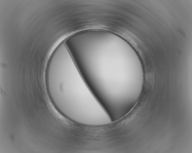 X0000090960947200708021119
