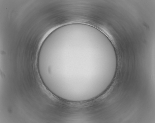 X0000090960948200708021119