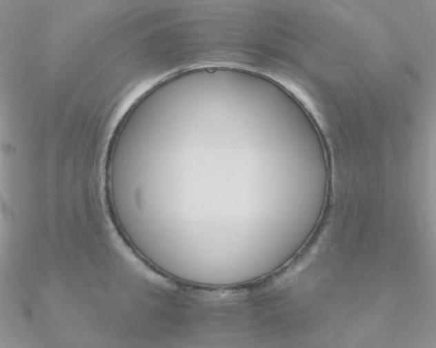 X0000090960949200708021119