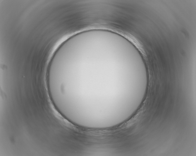 X0000090960950200708021119