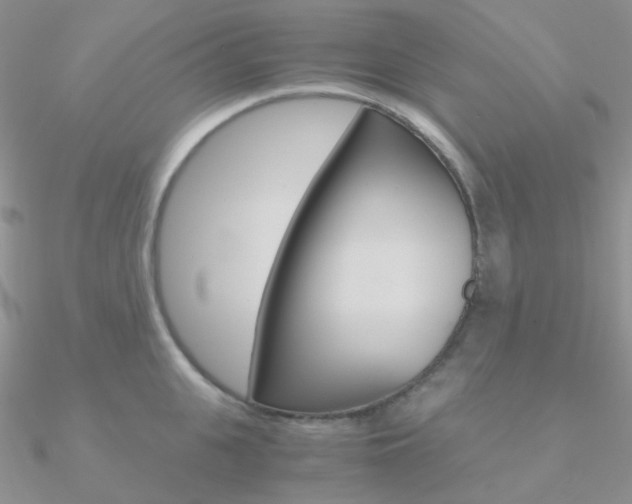 X0000090960951200708021119