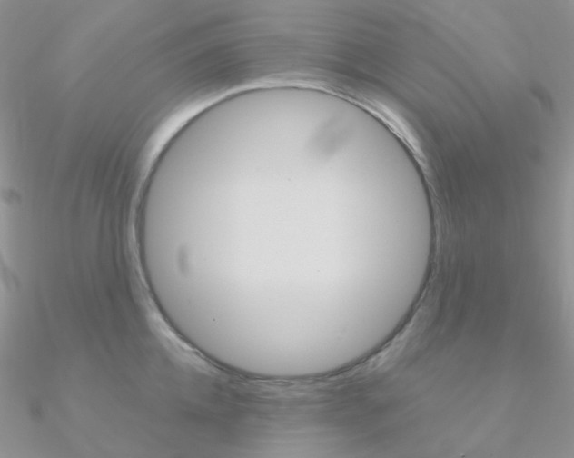 X0000090960952200708021119
