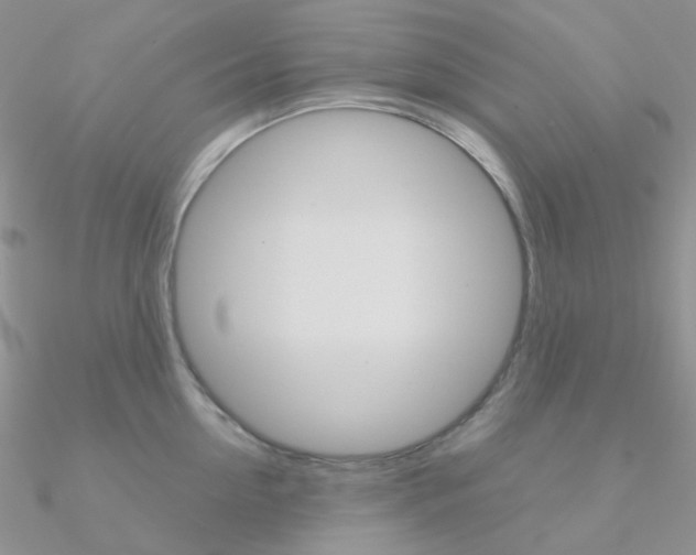 X0000090960954200708021119