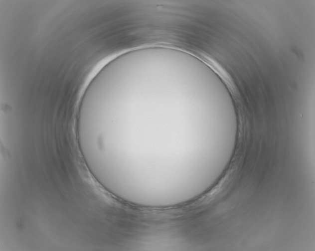 X0000090960956200708021119