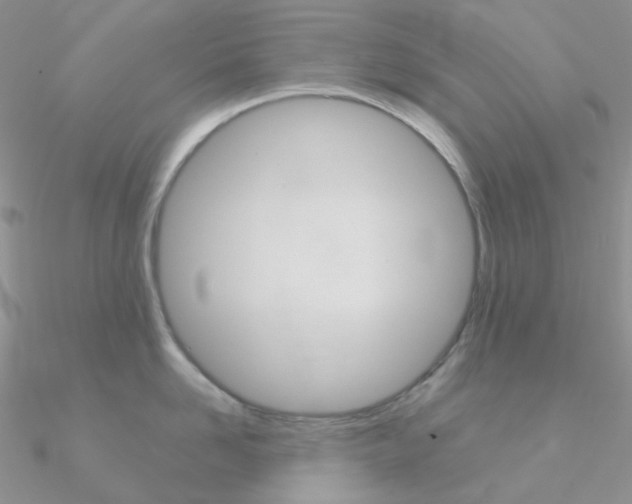 X0000090960958200708021119