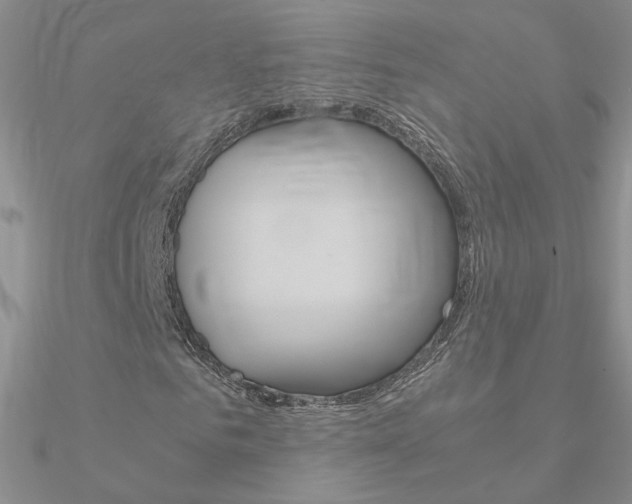 X0000090960961200708021118