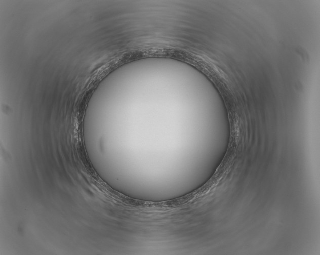 X0000090960964200708021118