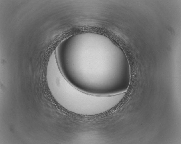 X0000090960965200708021118