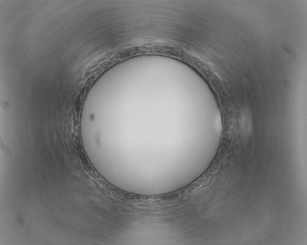 X0000090960966200708021118