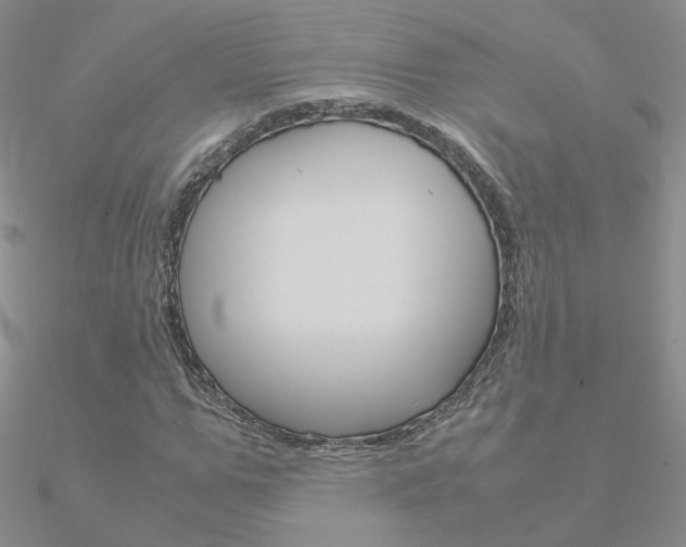 X0000090960967200708021118