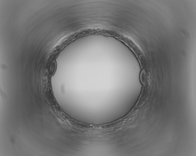 X0000090960968200708021118