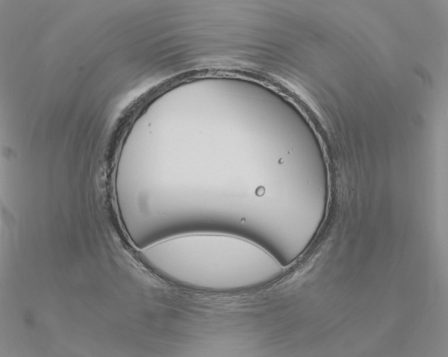 X0000090960971200708021118
