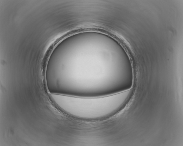 X0000090960973200708021118