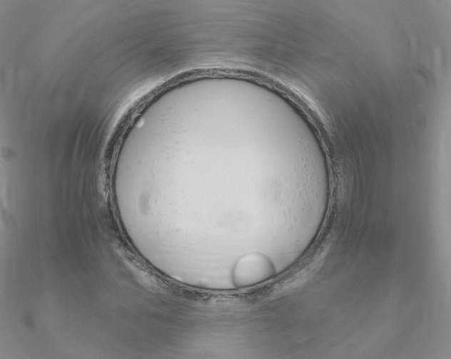 X0000090960974200708021118