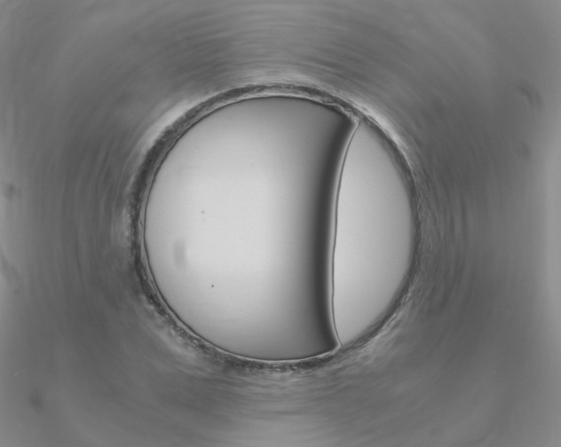 X0000090960975200708021118