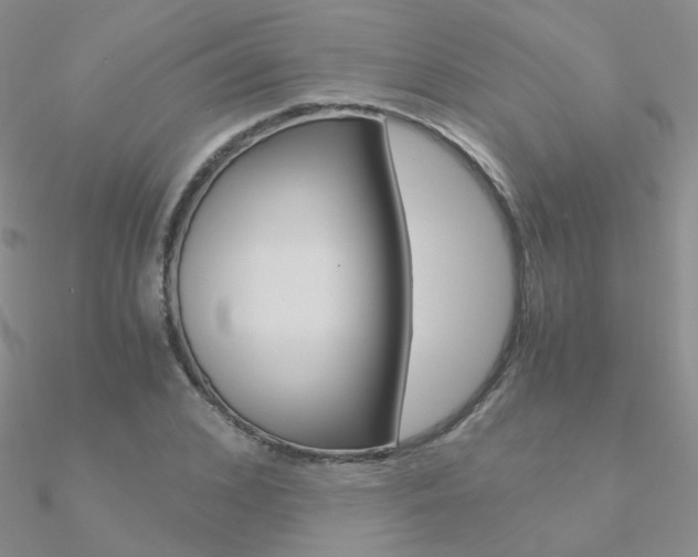 X0000090960976200708021118