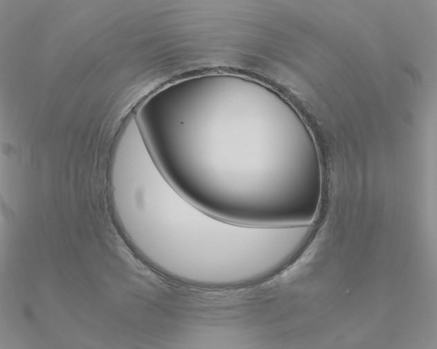 X0000090960977200708021118
