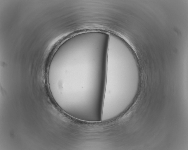 X0000090960979200708021118
