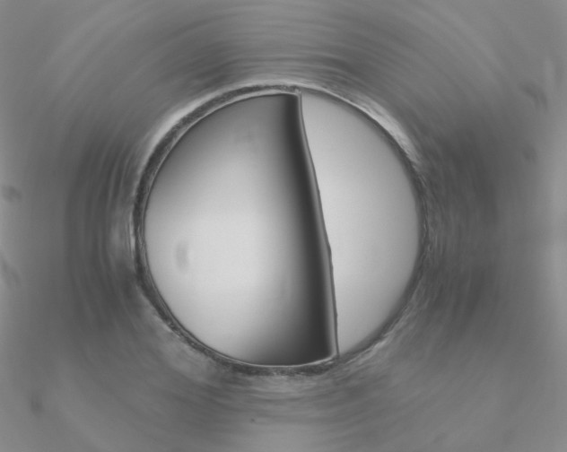 X0000090960980200708021118
