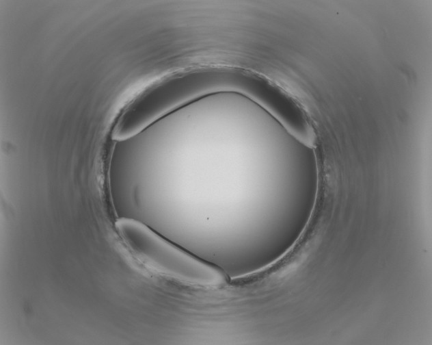 X0000090960981200708021118
