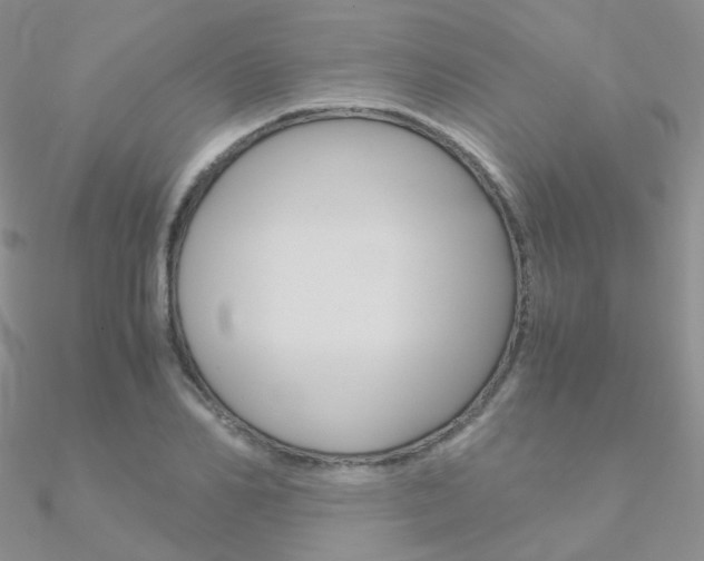 X0000090960982200708021118