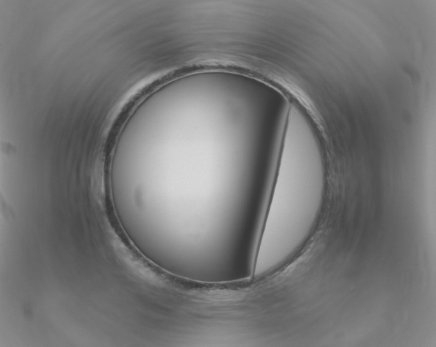 X0000090960984200708021118